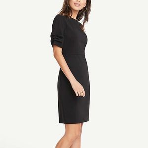 NWOT Ann Taylor Petite Ruched Sleeve Sheath Dress